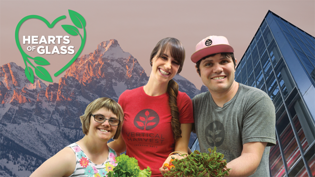 People of all abilities work at Vertical Harvest